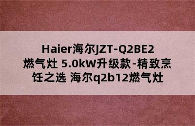 Haier海尔JZT-Q2BE2燃气灶 5.0kW升级款-精致烹饪之选 海尔q2b12燃气灶